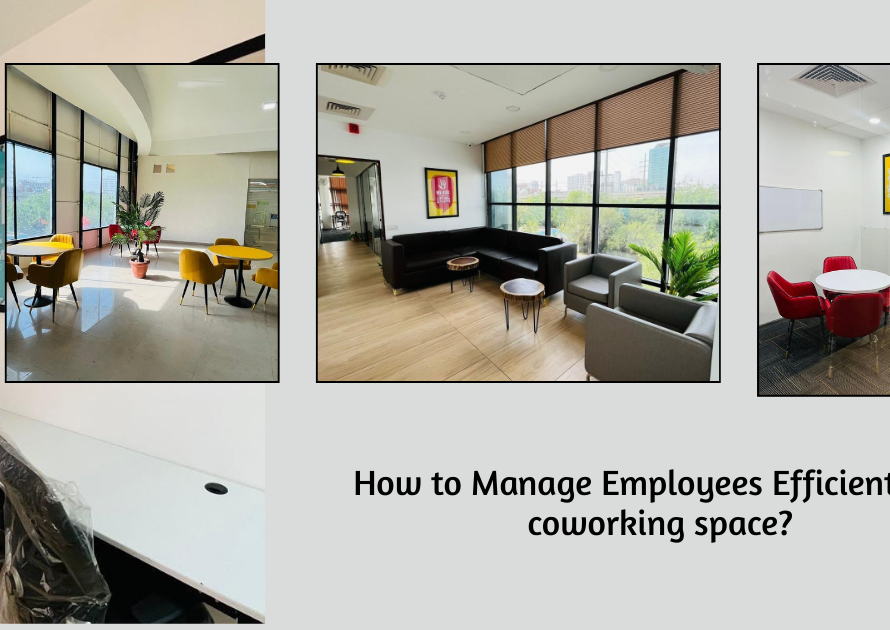 Shared office space in Noida