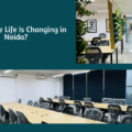 How Office Life Is Changing in Noida?